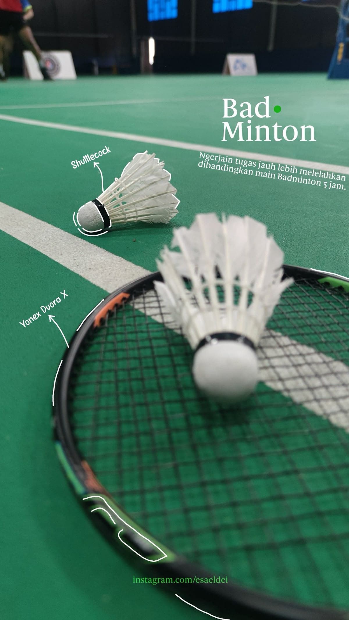 BADMINTON Collection